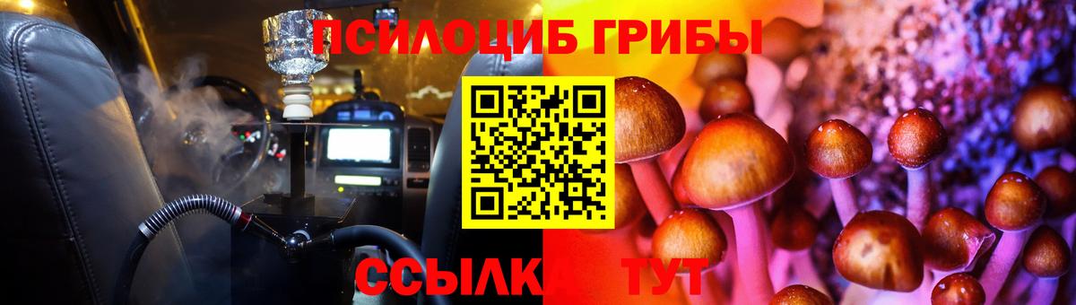 Галлюциногенные грибы Psilocybine cubensis Энгельс